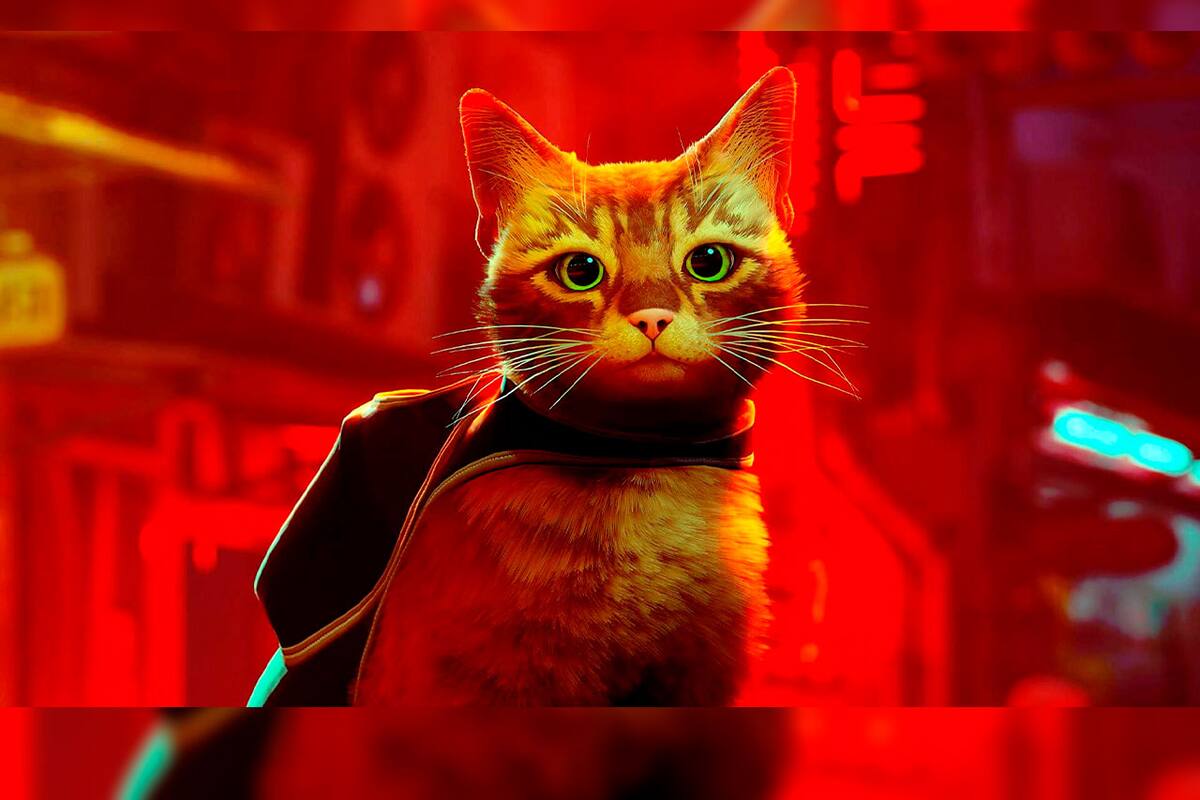 Stray got over 60,000 concurrent players on its launch day