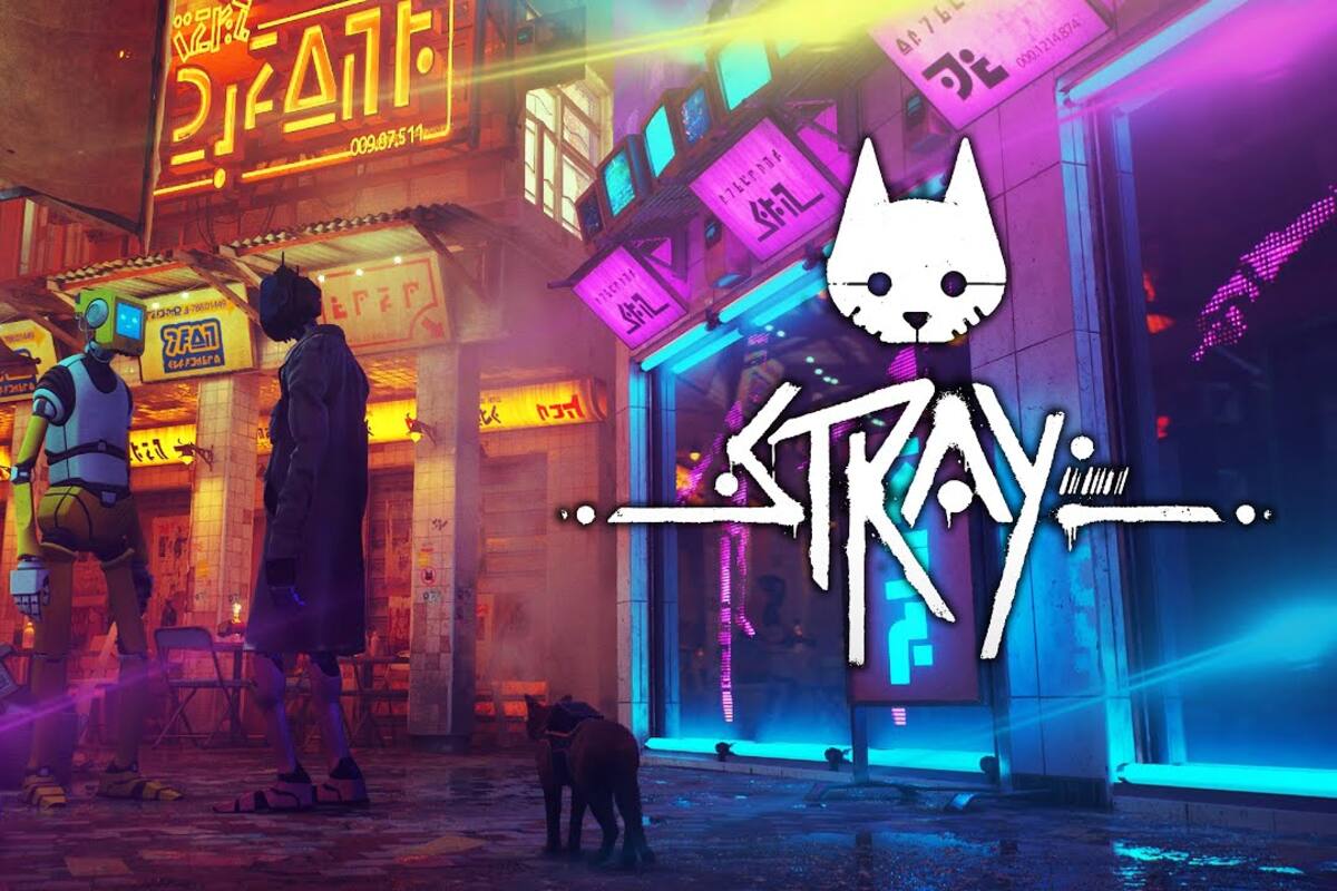 Stray looks out for cats in the game and in real life