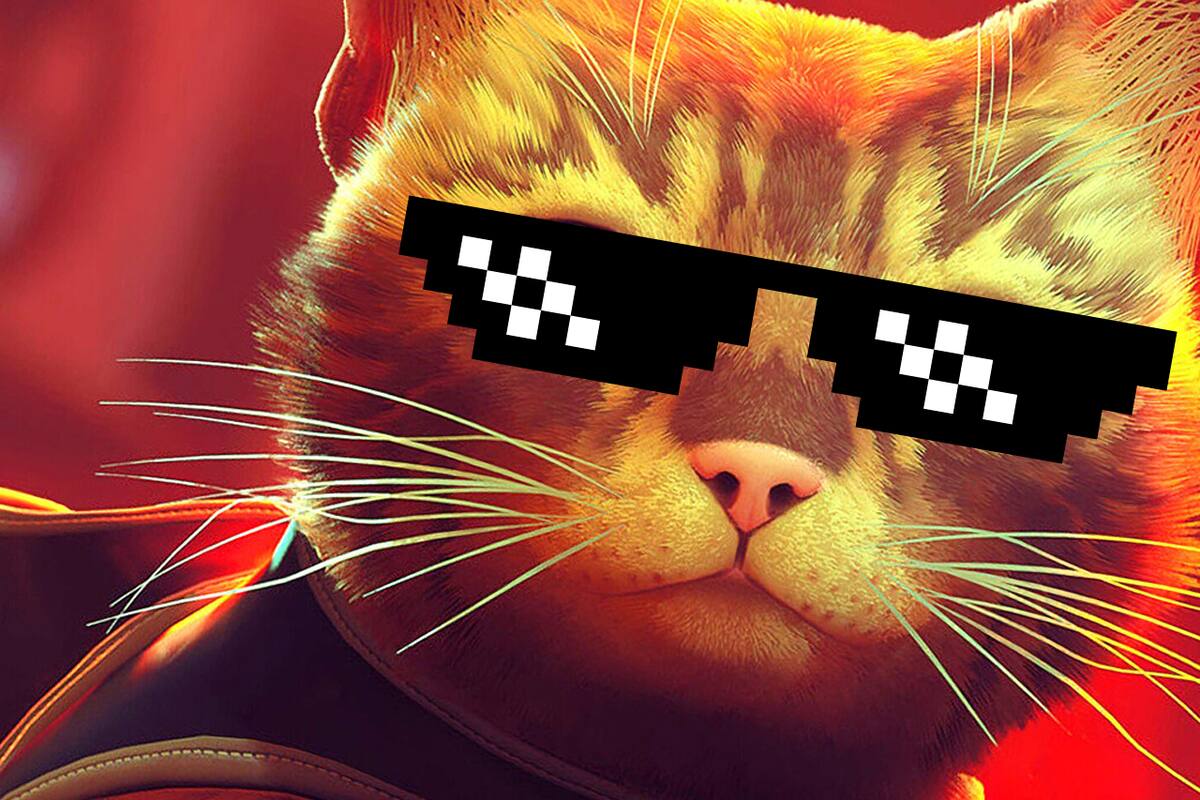 Gamers arremeten contra Stray y su nominación al GOTY; devs responden