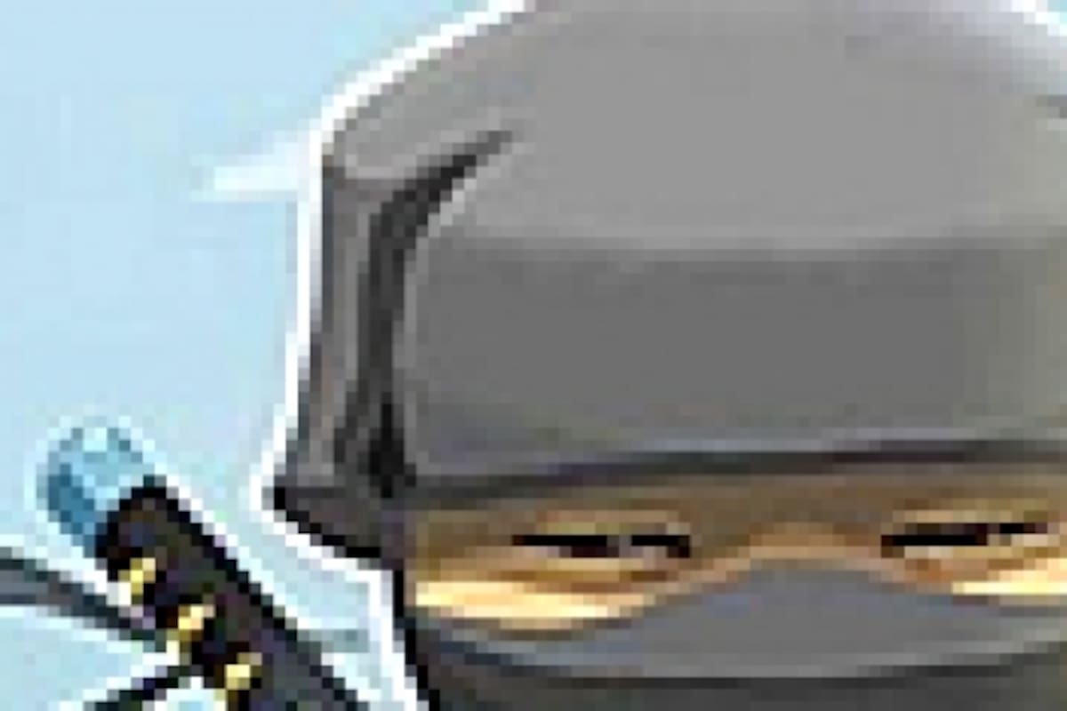 Mini Ninjas Adventures