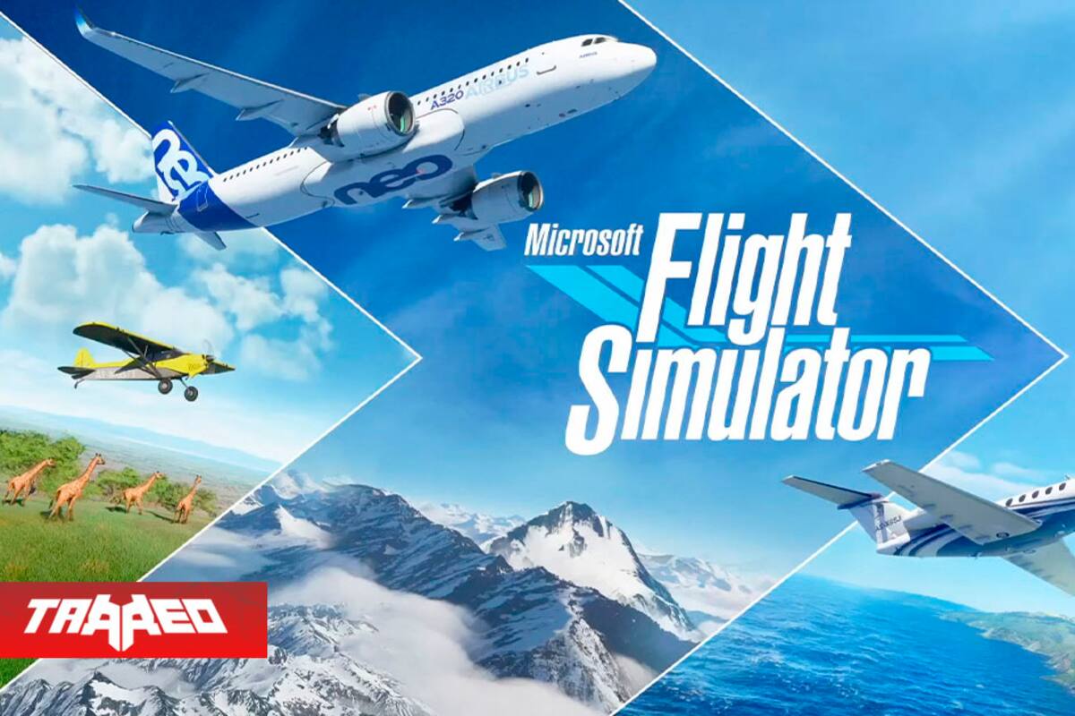 Review Flight Simulator: Volar es lo único que puedes hacer y nos encanta