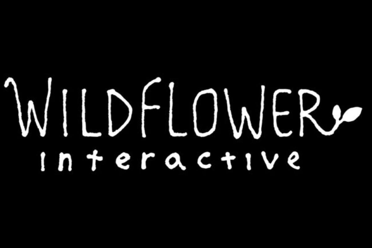 Former Naughty Dog Game Director establishes new studio