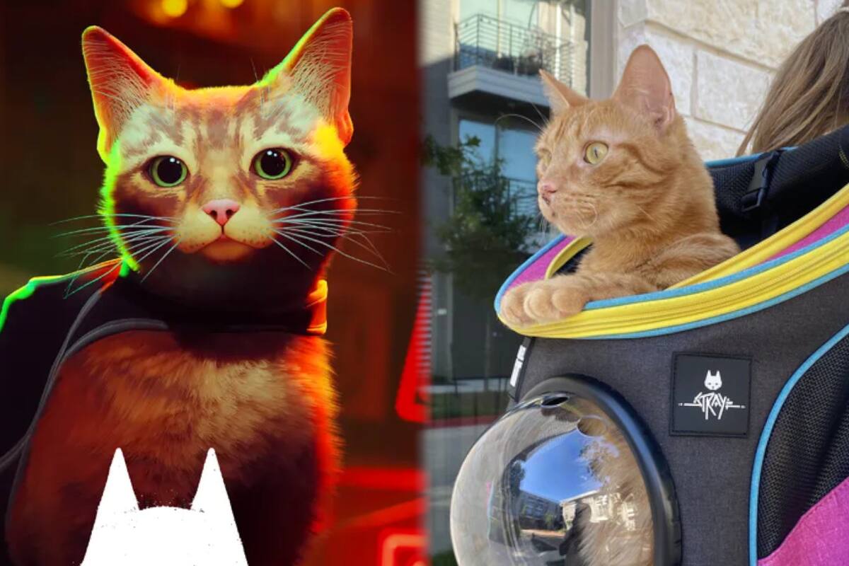 Tu gato podrá hacer cosplay de Stray y viajar contigo gracias a estos productos