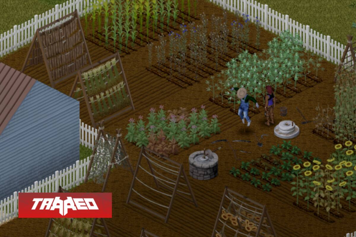 Project Zomboid al fin lanza la beta de la actualización Build 42, expandiendo la reconstrucción de la civilización y otros elementos clave