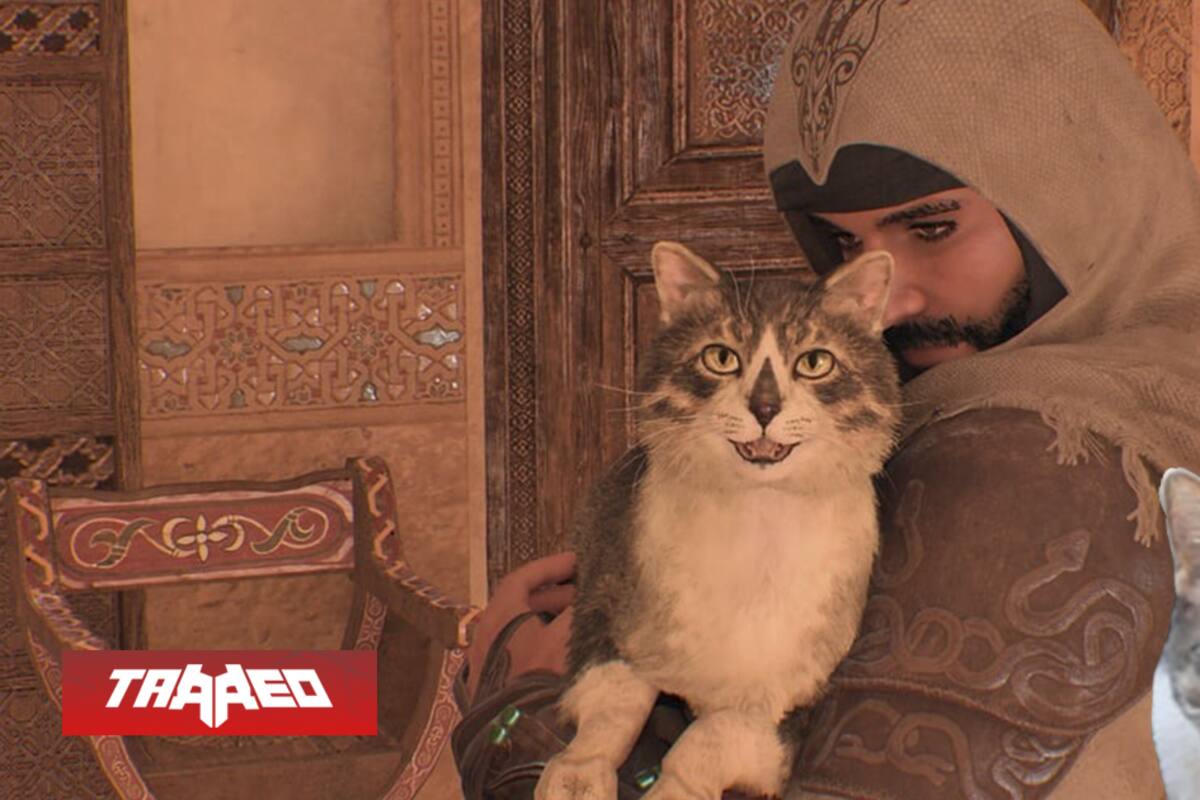 Assassin's Creed Mirage rinde homenaje a fan que murió antes de su estreno, incluyendo a su gato con nariz similar al logo del juego