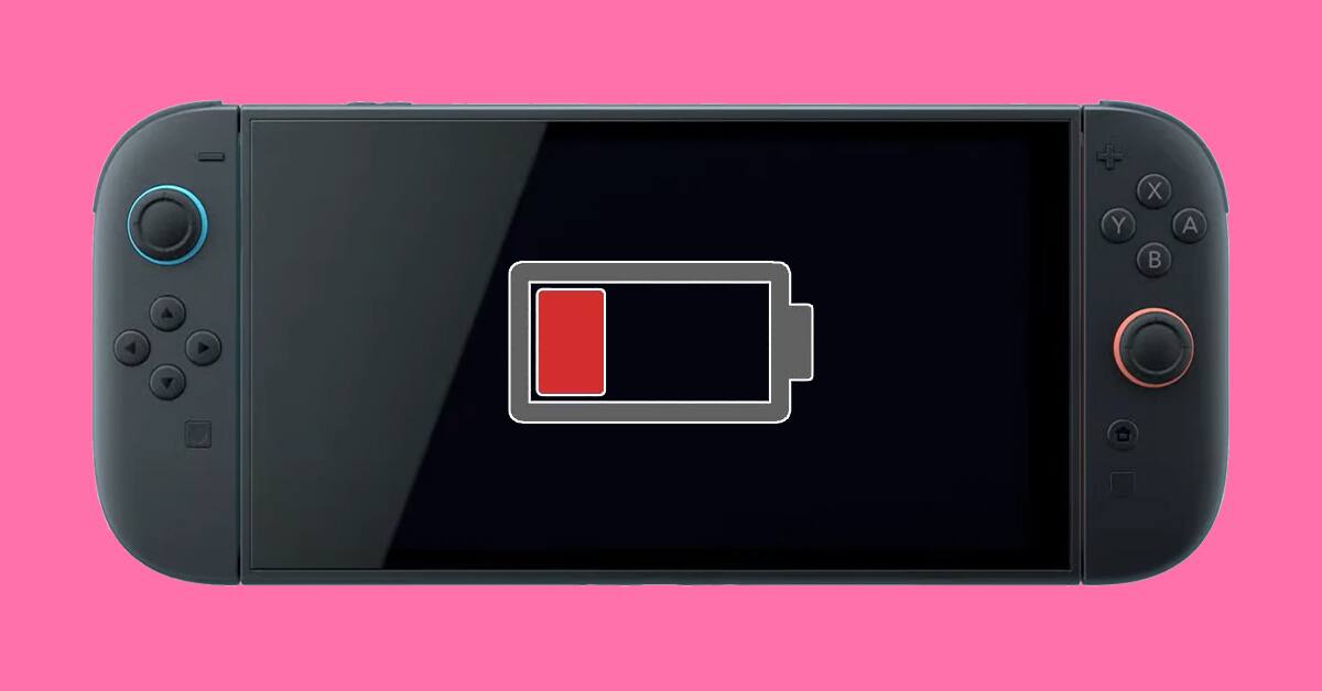 bateria-extraible-Switch-2.jpg