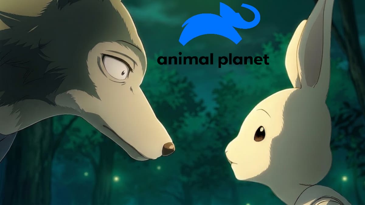 Beastars Animal planet