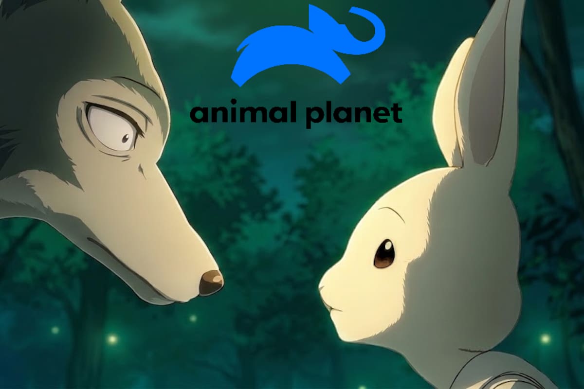 BEASTARS será el primer anime transmitido en Animal Planet