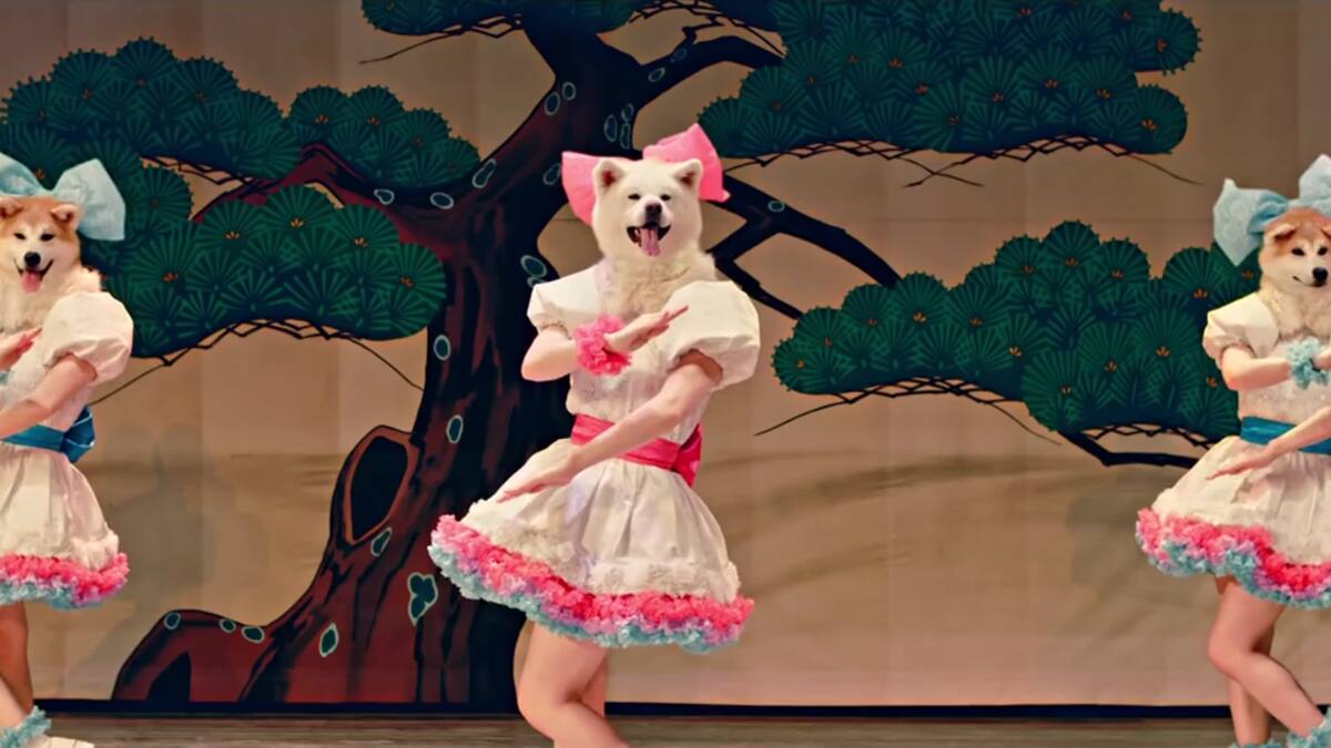 Conoce a MOFU MOFU?DOGS: Las idols japonesas que son perros Akita