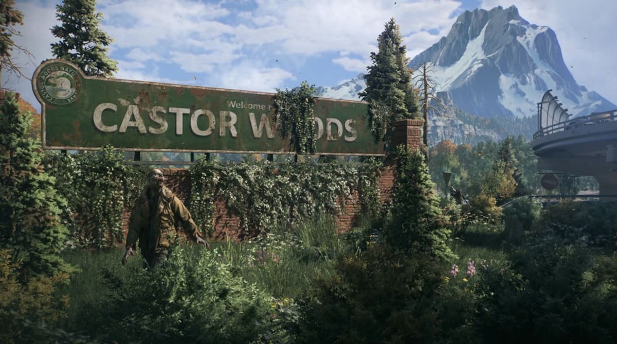 castor-1.jpg