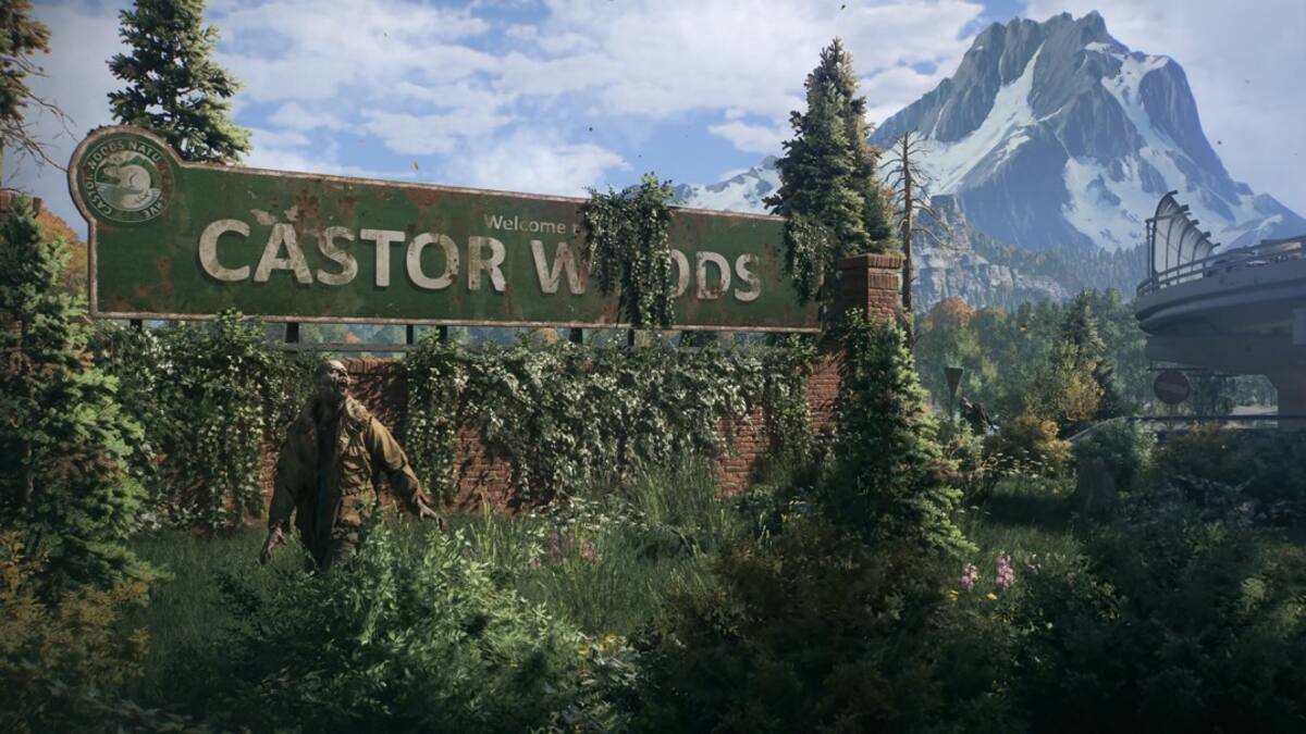 castor
