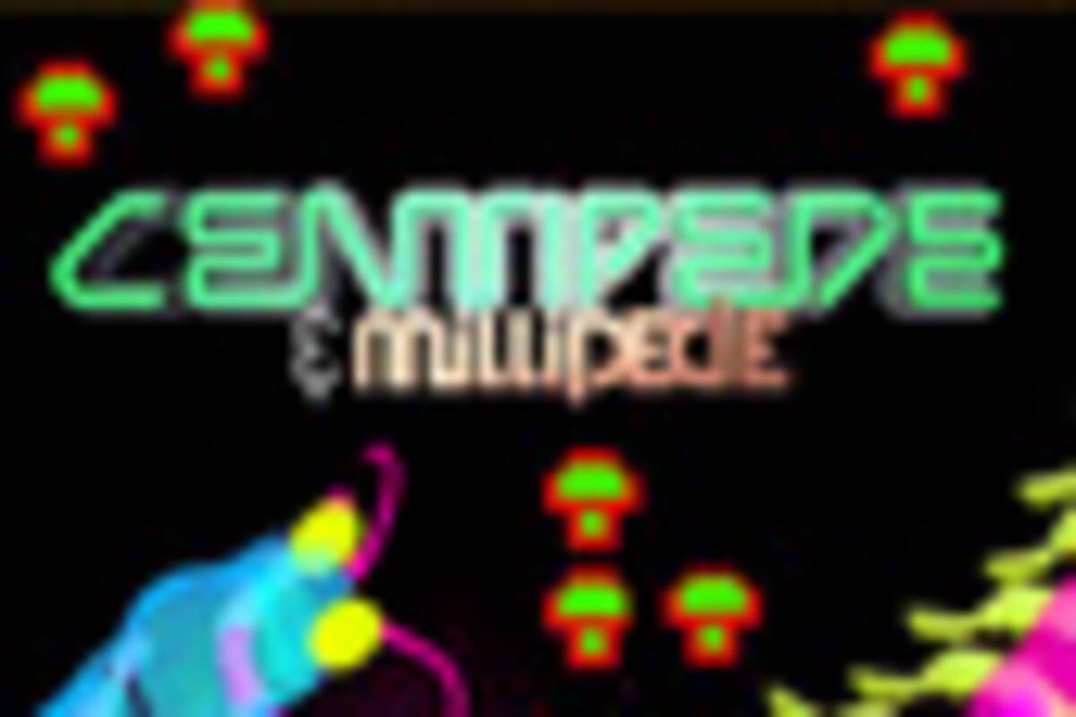 Centipede / Millipede