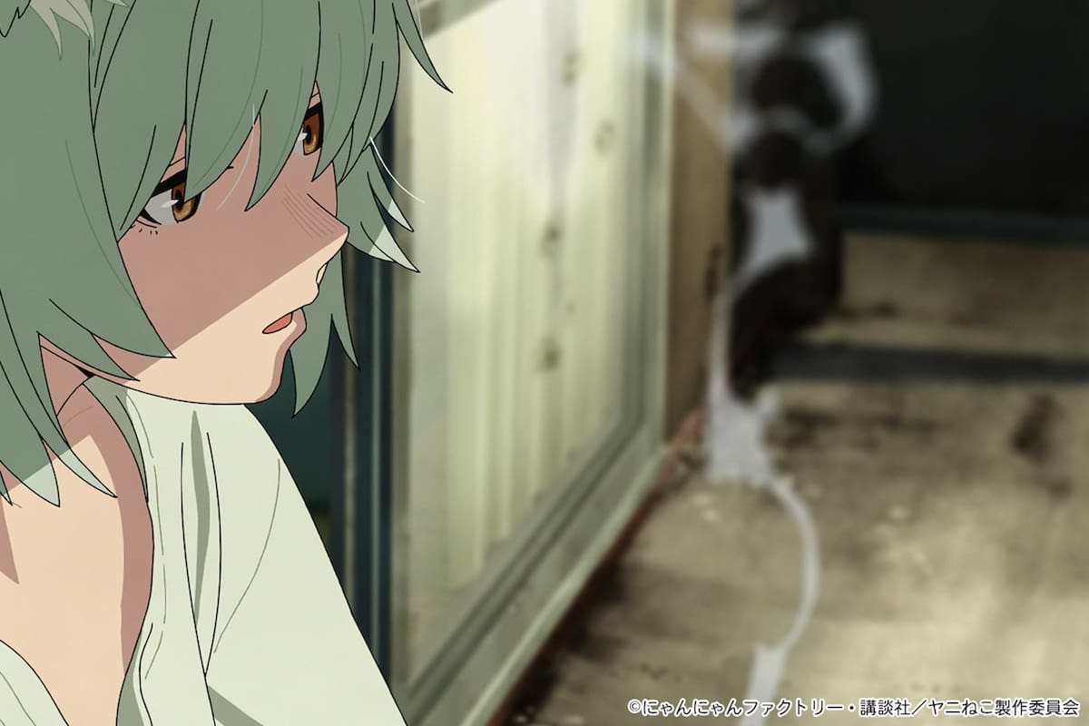 ¡Chainsmoker Cat lo hace de nuevo! el anime más polémico está en la mira del organismo de ética de Japón por sus escenas explícitas con sustancias nocivas
