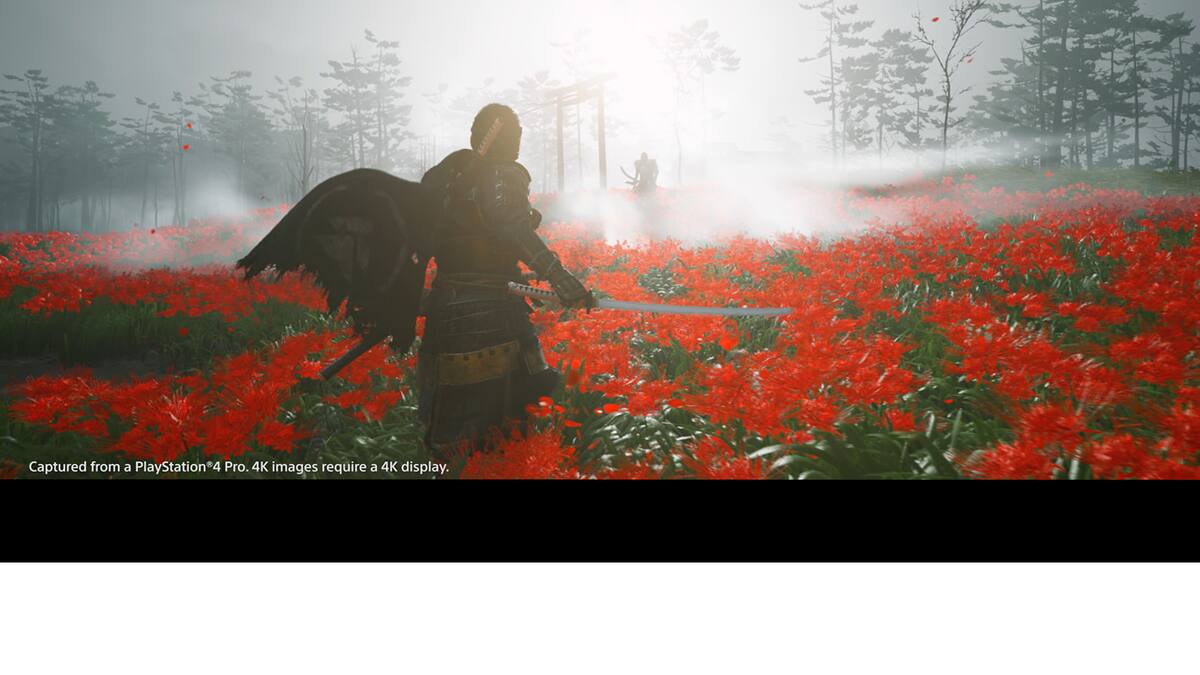 Checa la increíble portada que tendrá el título de PlayStation 4
