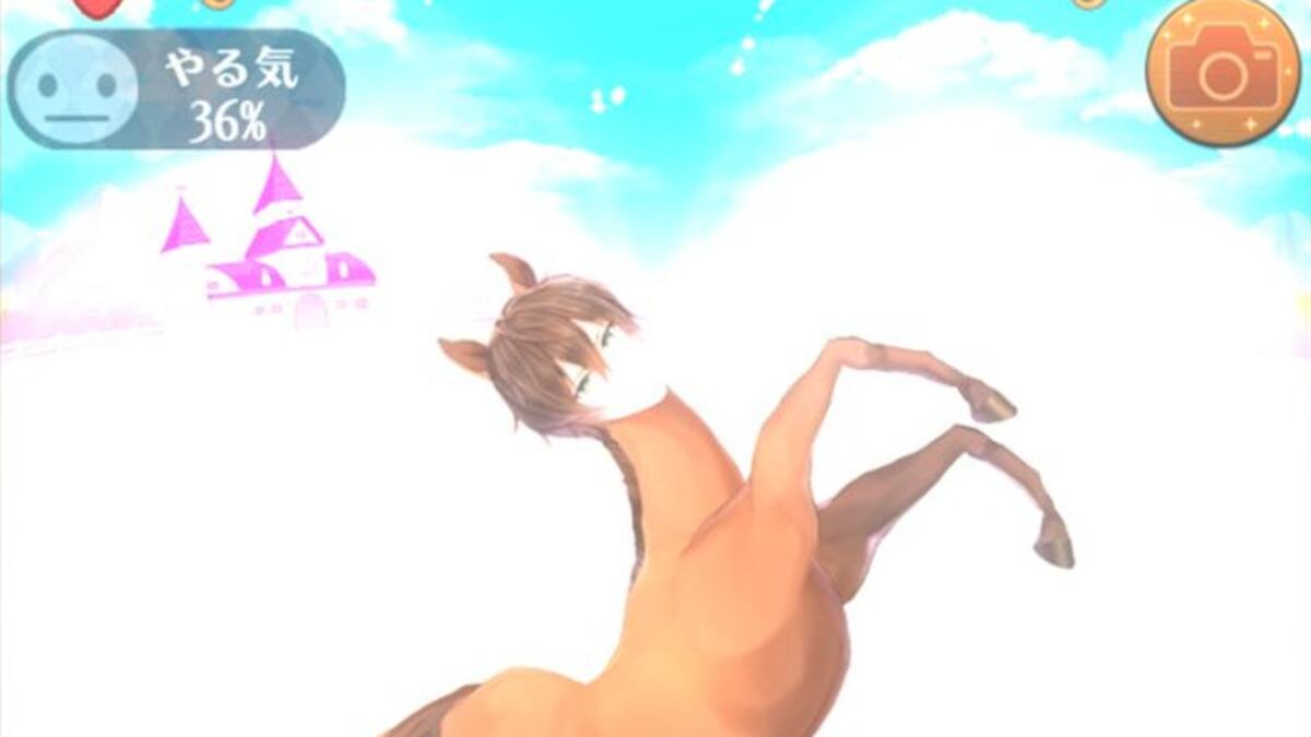 Conoce extraño título de romance equino