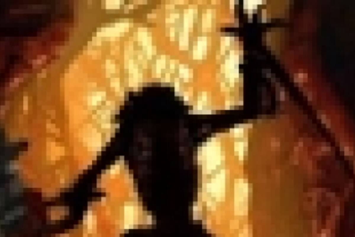 Red Faction: Battlegrounds
