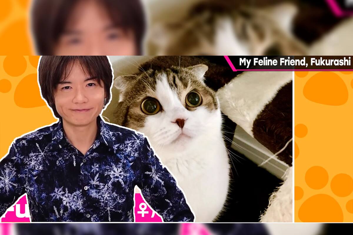 Masahiro Sakurai’s newest Youtube video is about… his cat!