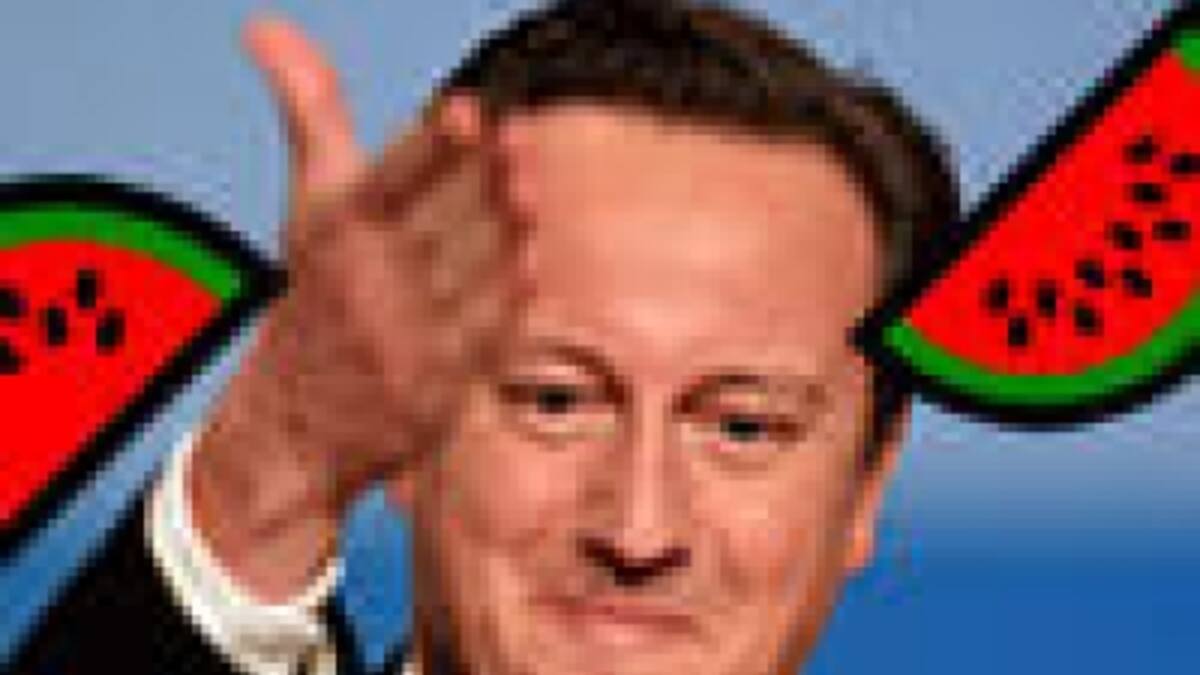 David Cameron pasa demasiado tiempo en su iPad