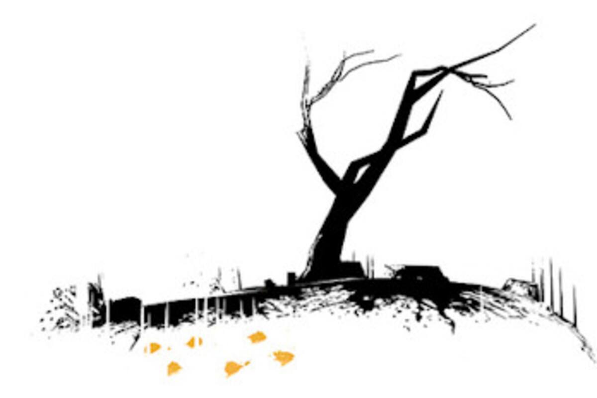 Trailer de "The Unfinished Swan" el nuevo y novedoso juego de PSN