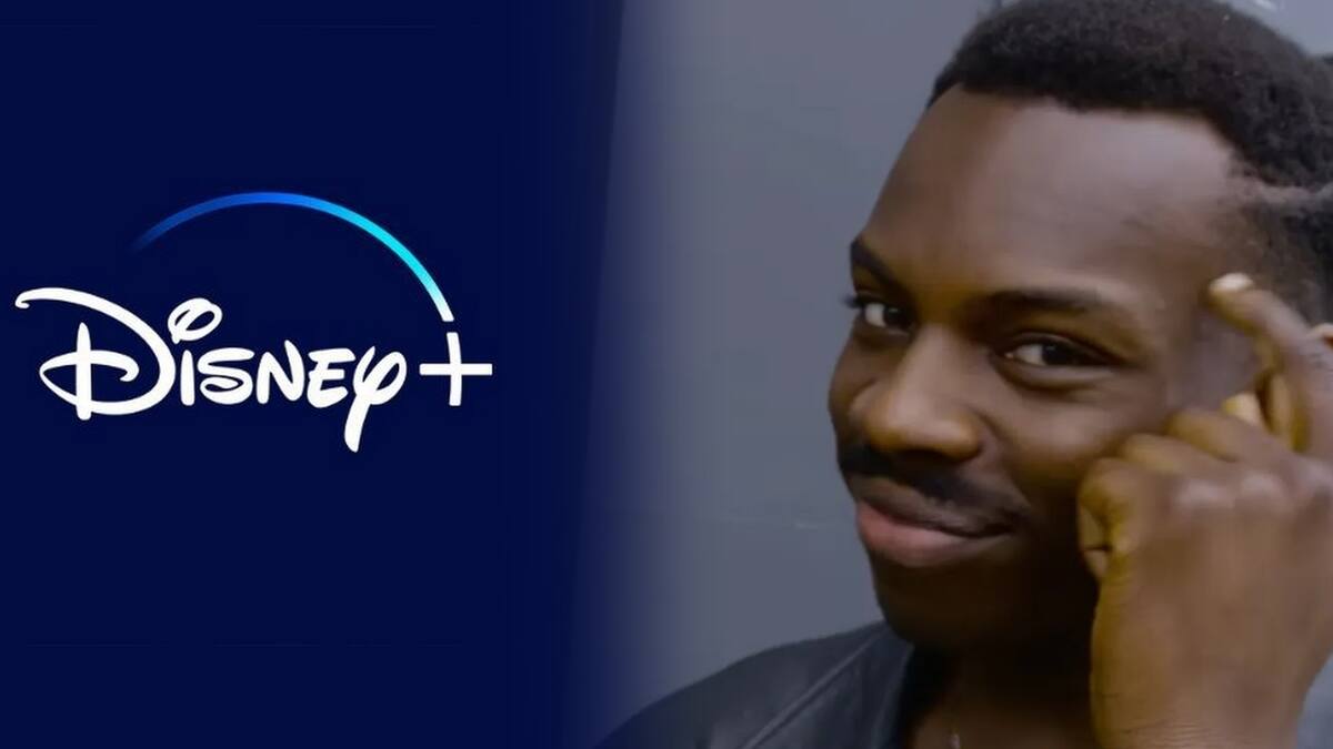 Disney quiere que su servicio tenga la mayor cantidad posible de suscriptores