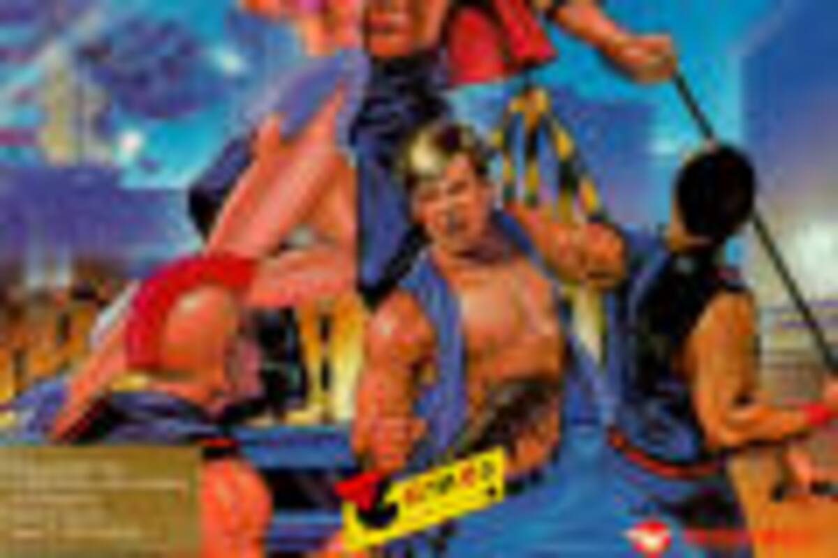 Double Dragon II: The Revenge