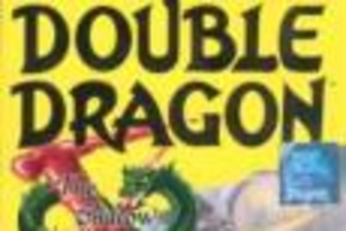 Double Dragon V: The Shadow Falls