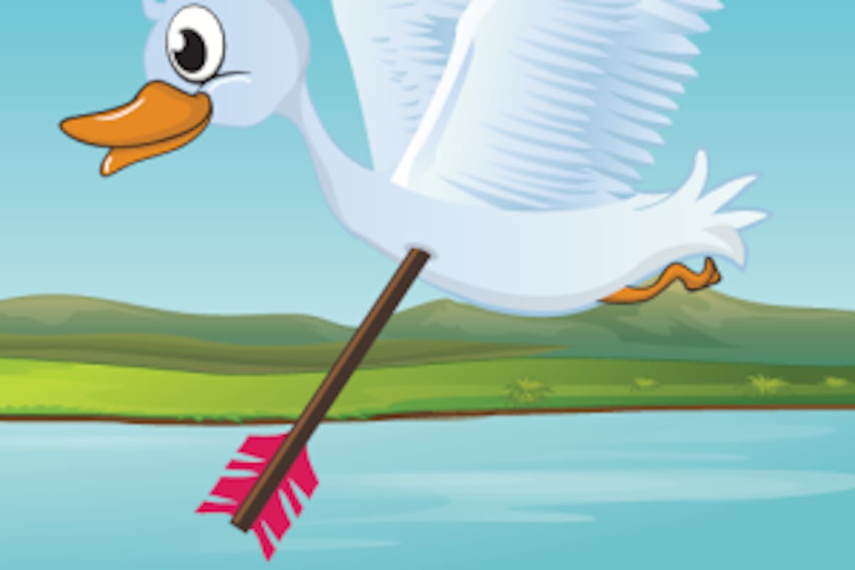 Duck Bow Hunt