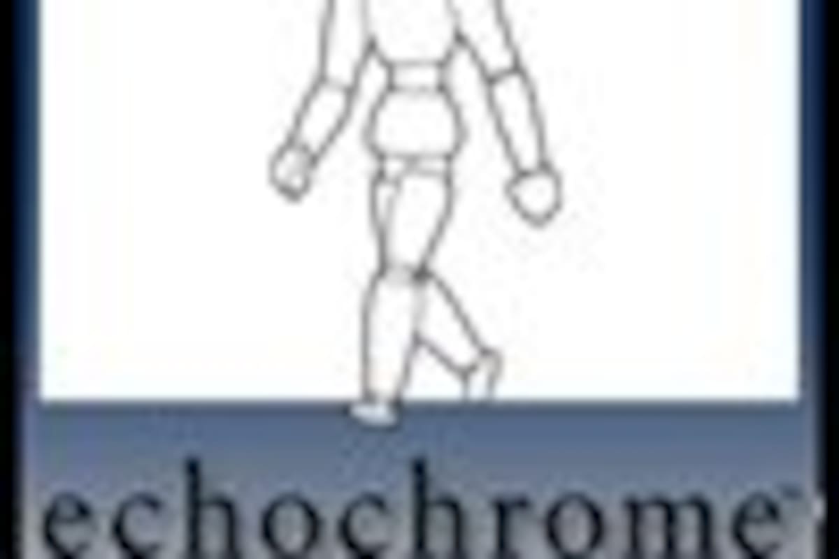 Echochrome