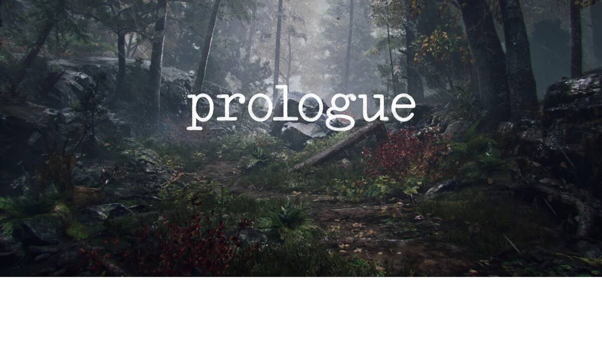 El creador del Battle Royale habló sobre el género de su nuevo proyecto