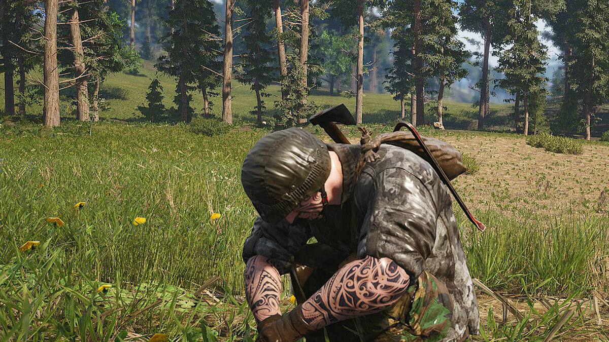 El Early Access debutó la semana pasada