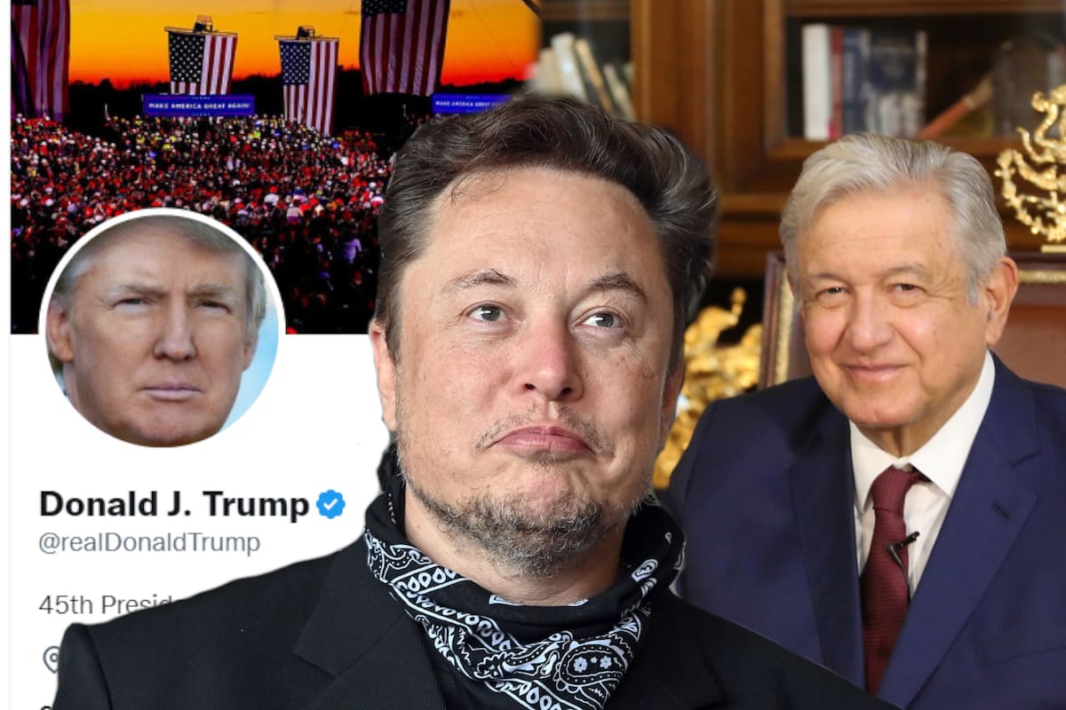Elon Musk restablece cuenta de Donald Trump en Twitter; AMLO participó en votación