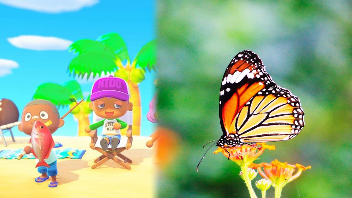 El esperado juego de Nintendo estará localizado al español latino