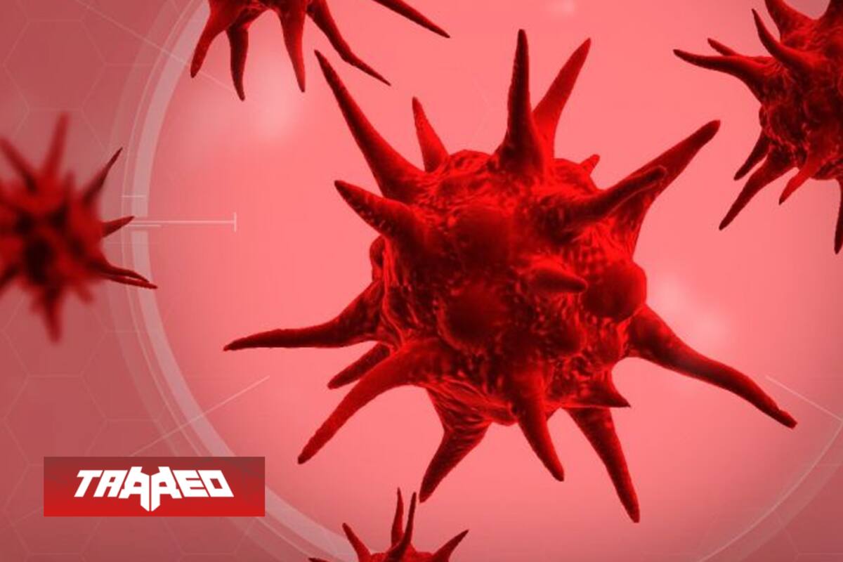 Creadores de Plague Inc donarán 250 mil dólares a lucha contra el Coronavirus