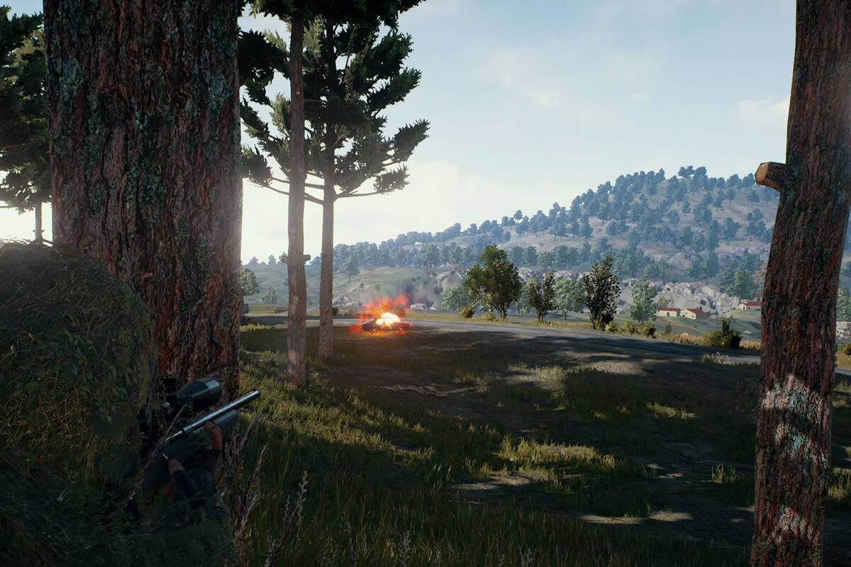 PLAYERUNKNOWN'S BATTLEGROUNDS ya vendió 8 millones de copias
