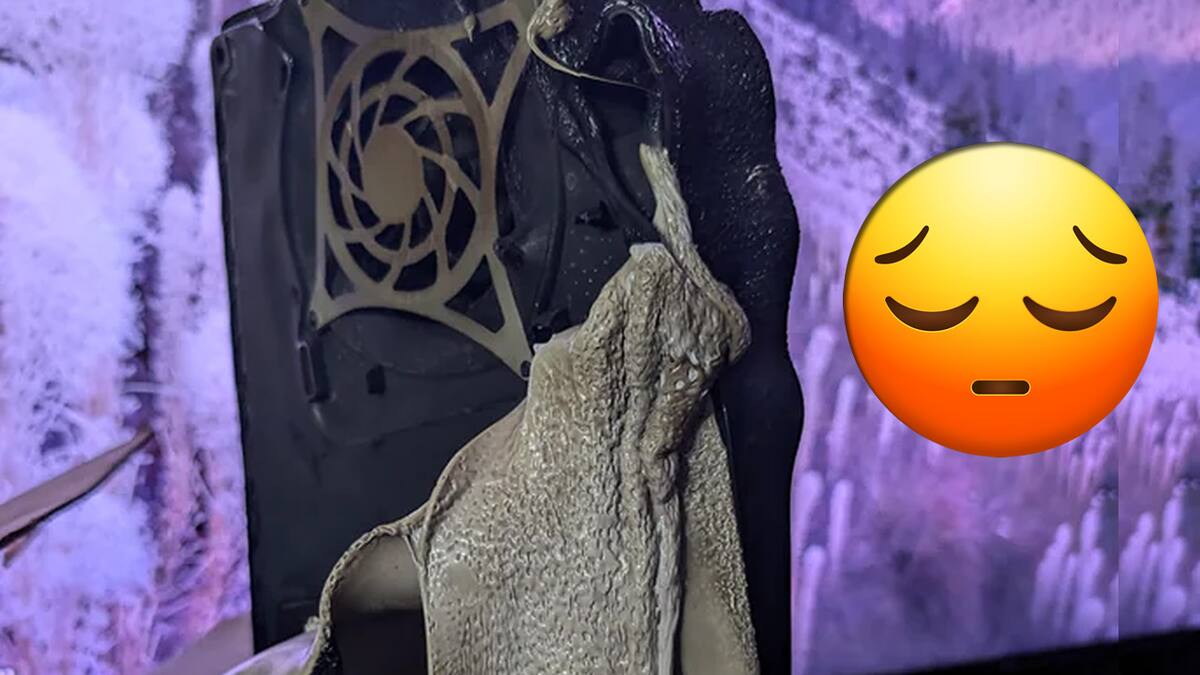El fan de PlayStation recibió la consola por su cumpleaños y sólo pudo disfrutarla 2 días