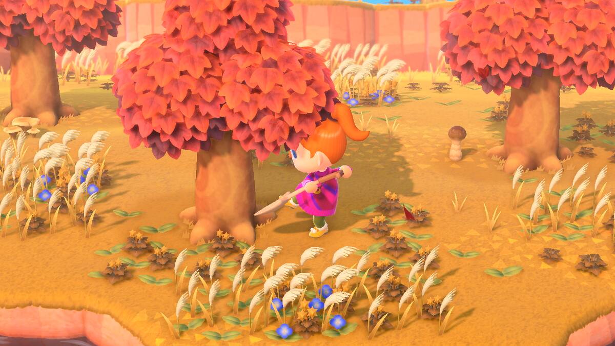 El gameplay cambiará según el hemisferio en el que te encuentres