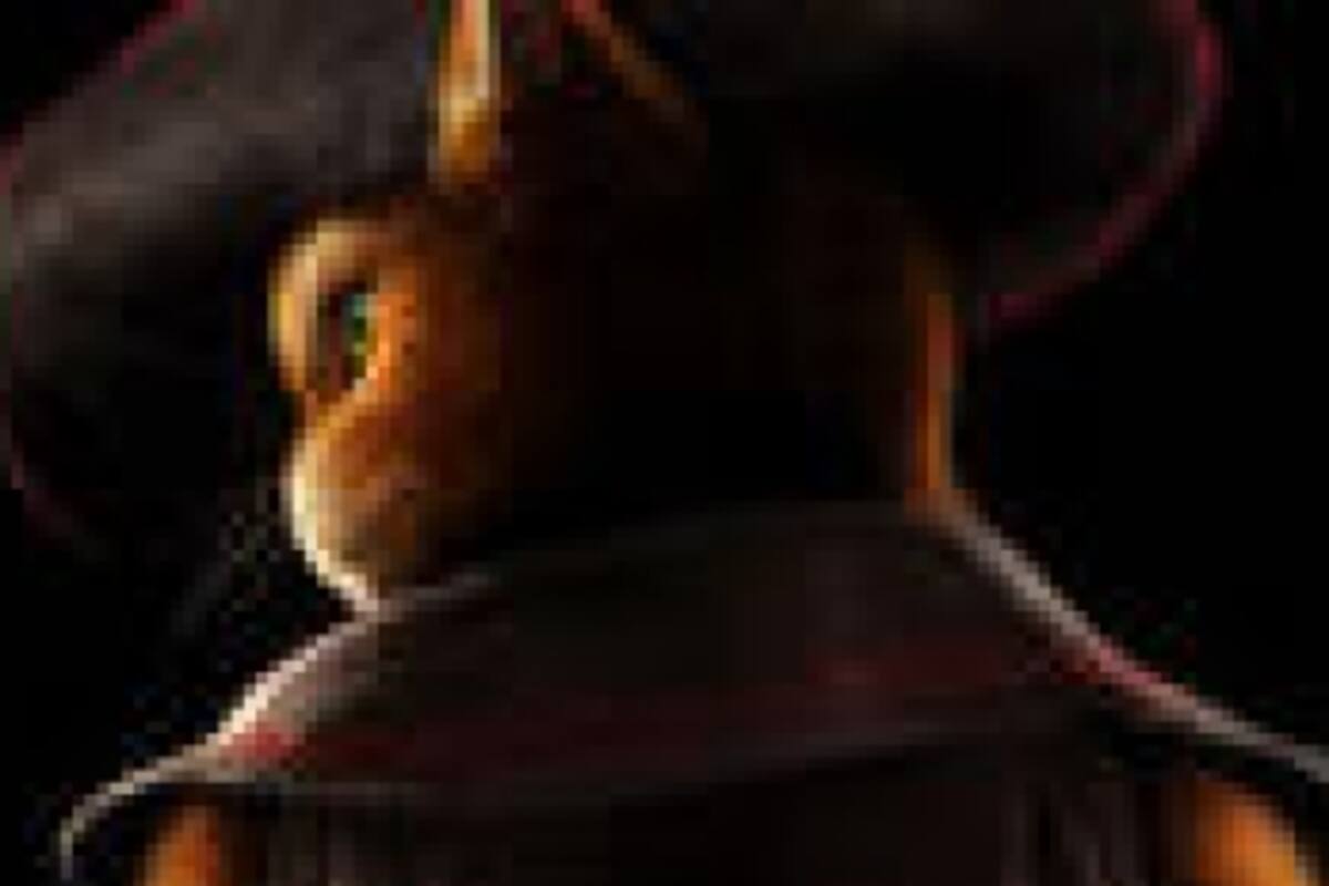Trailer de Puss in Boots en Fruit Ninja