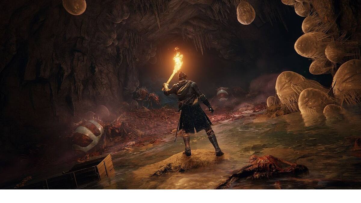 El hallazgo generó todo tipo de comentarios, incluso críticas a FromSoftware