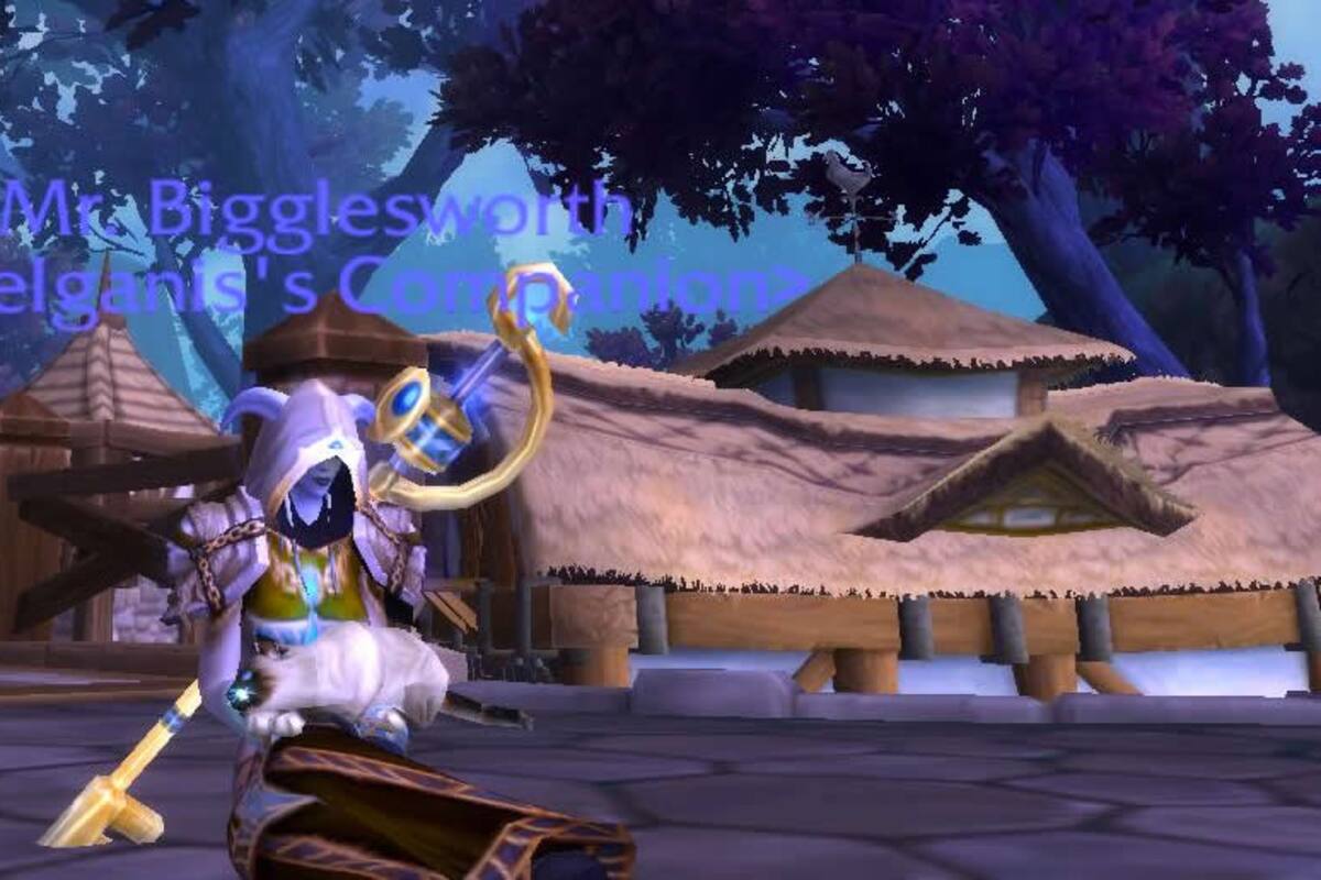 Las mascotas felinas en World of Warcraft ahora pueden sentarse en tu regazo
