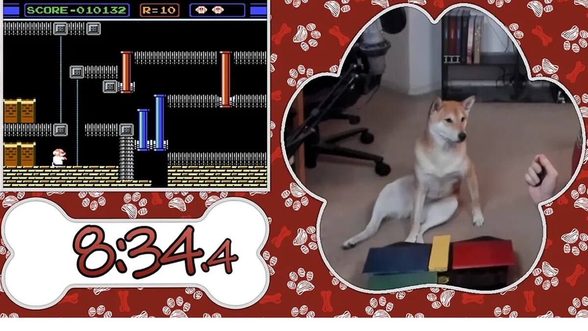 El inusual jugador demostrará sus habilidades en Games Done Quick 2024