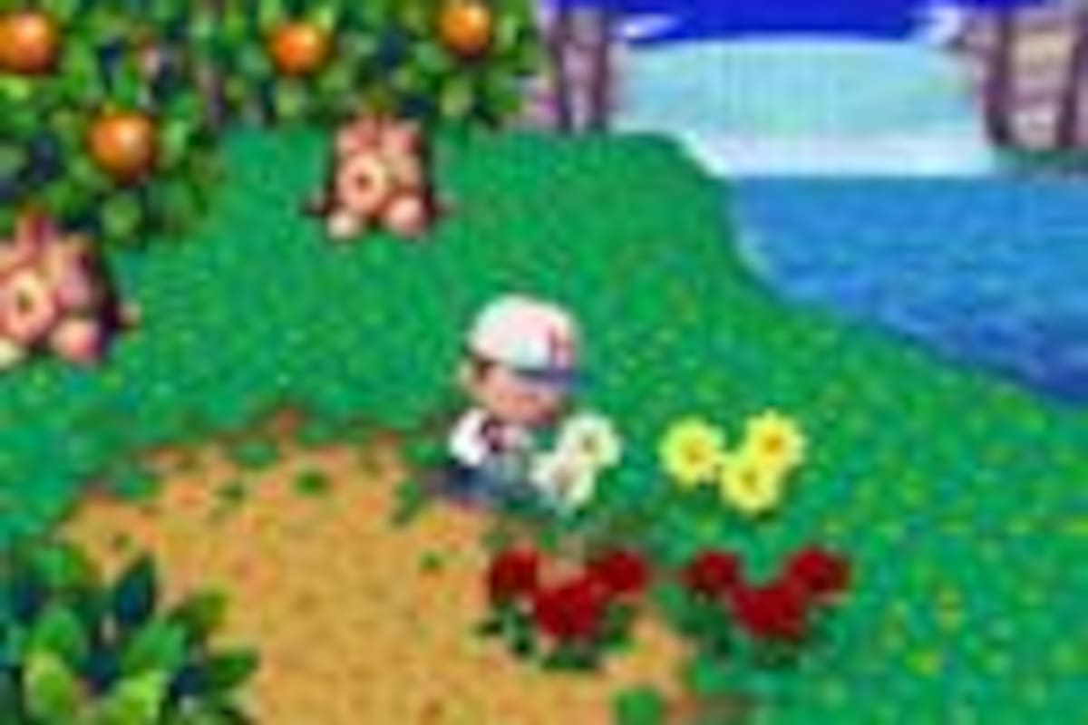 Animal Crossing: City Folk
