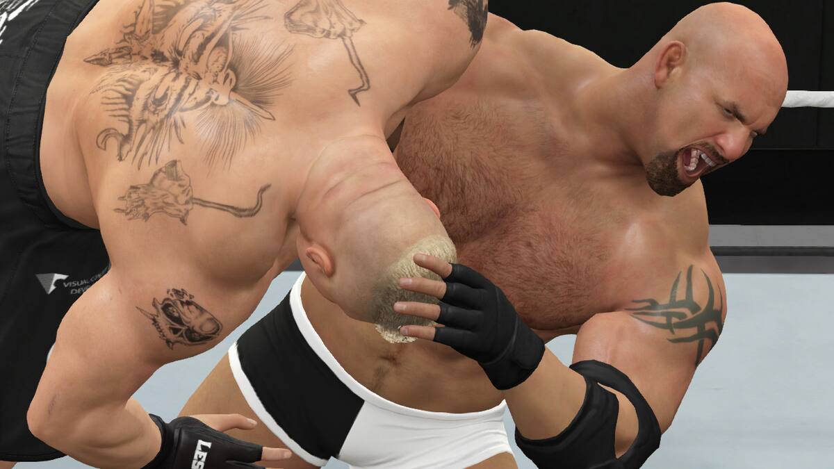 El juego de lucha libre llegó el año pasado a consolas