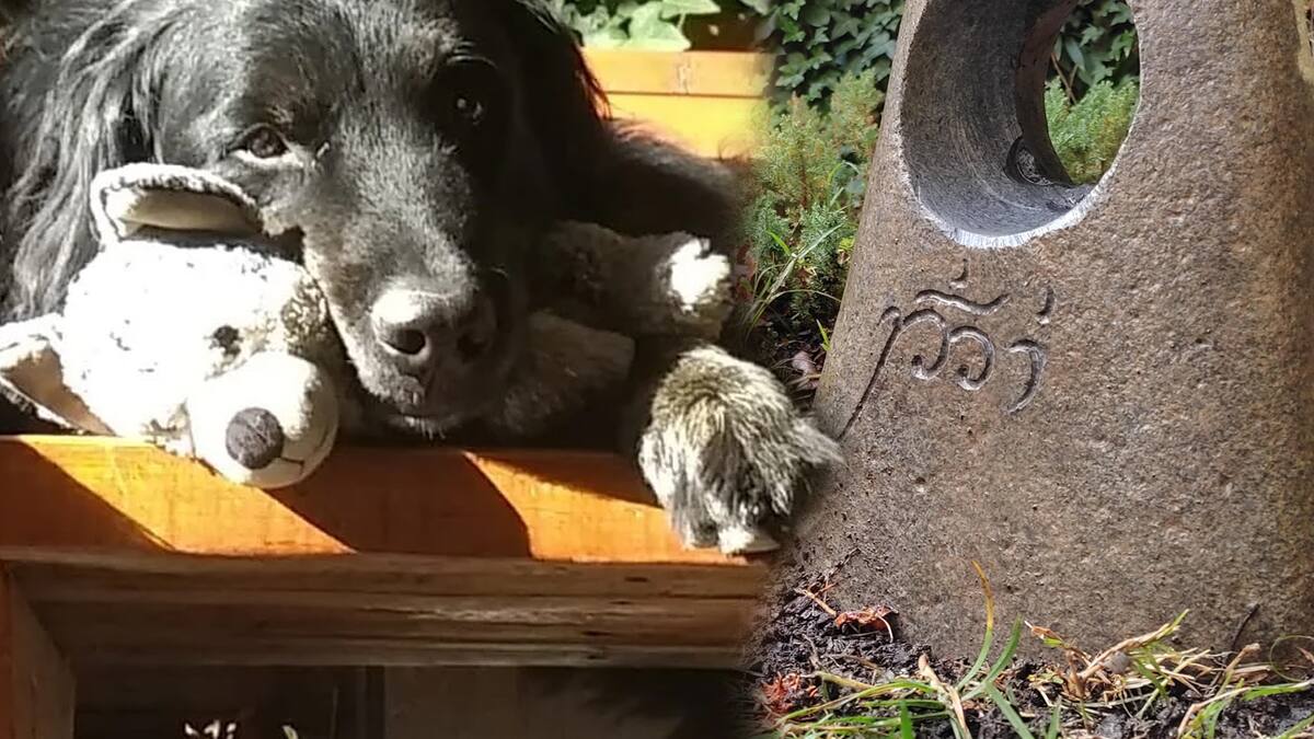 El jugador colocó la hermosa reliquia en la tumba de su mascota y fiel compañero