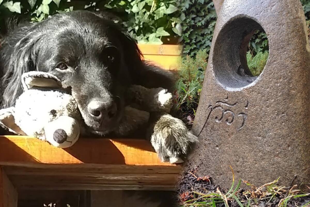 Fan construye una escultura de The Witcher como homenaje a su perrito