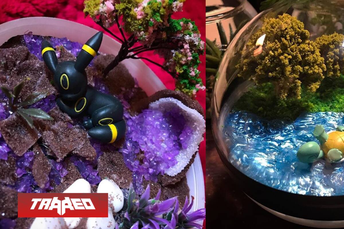 En Chile se hacen hermosos terrarios Pokémon en pokébolas