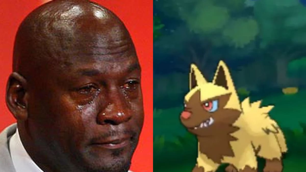 El recuerdo del perrito Roscoe vive a través de un Poochyena de tipo Shiny