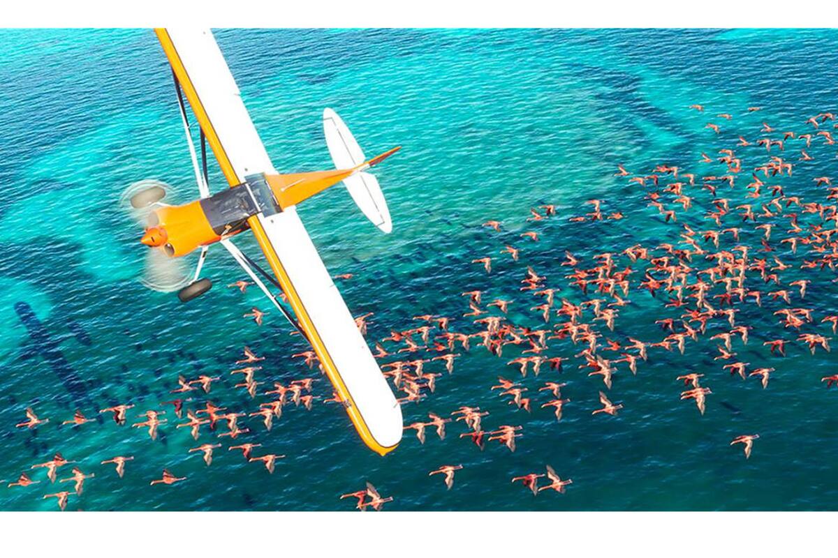 Optimizan Microsoft Flight Simulator para que tu CPU sufra mucho menos al correrlo