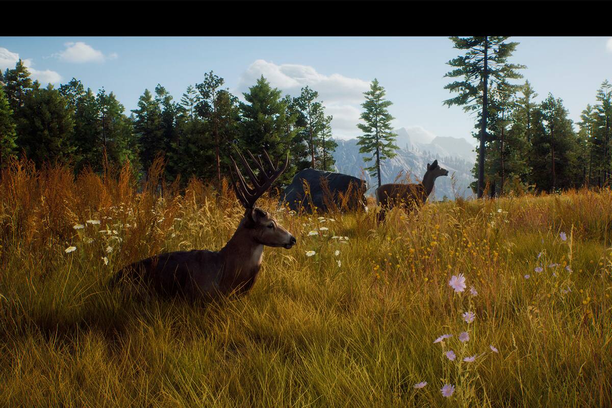 Confirman la fecha de llegada de este juego de cacería para consolas y PC