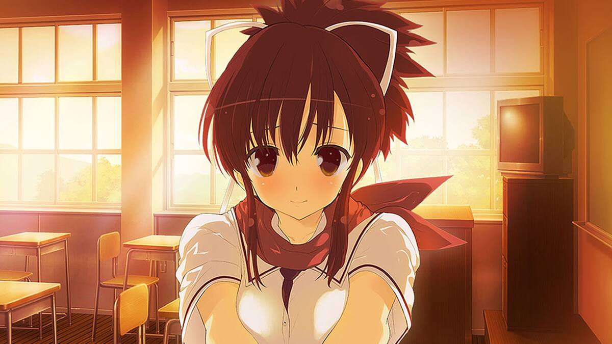 El título llegará a Switch como Senran Kagura Reflexions