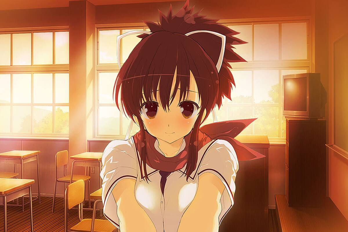 Localizarán Shinobi Refle: Senran Kagura en Occidente
